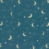 81920 Winter Moonlight Col. 4